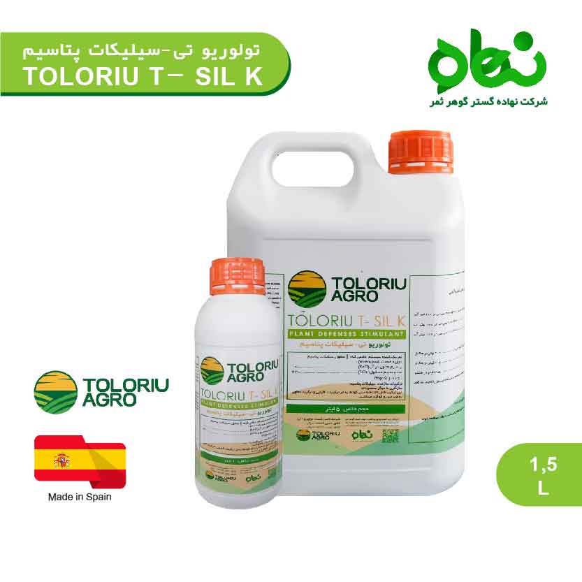 تولوریو تی - سیلیکات پتاسیم